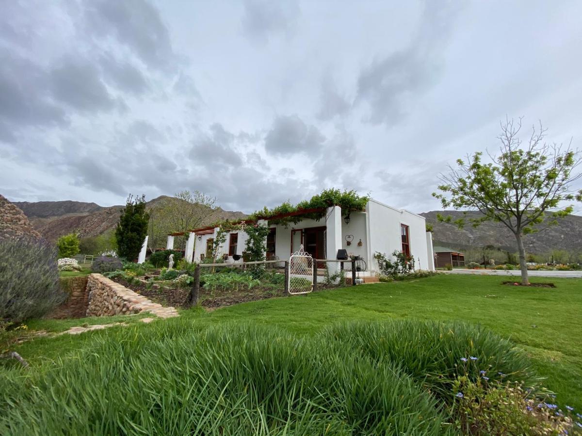 Alpaca Inn Montagu Extérieur photo