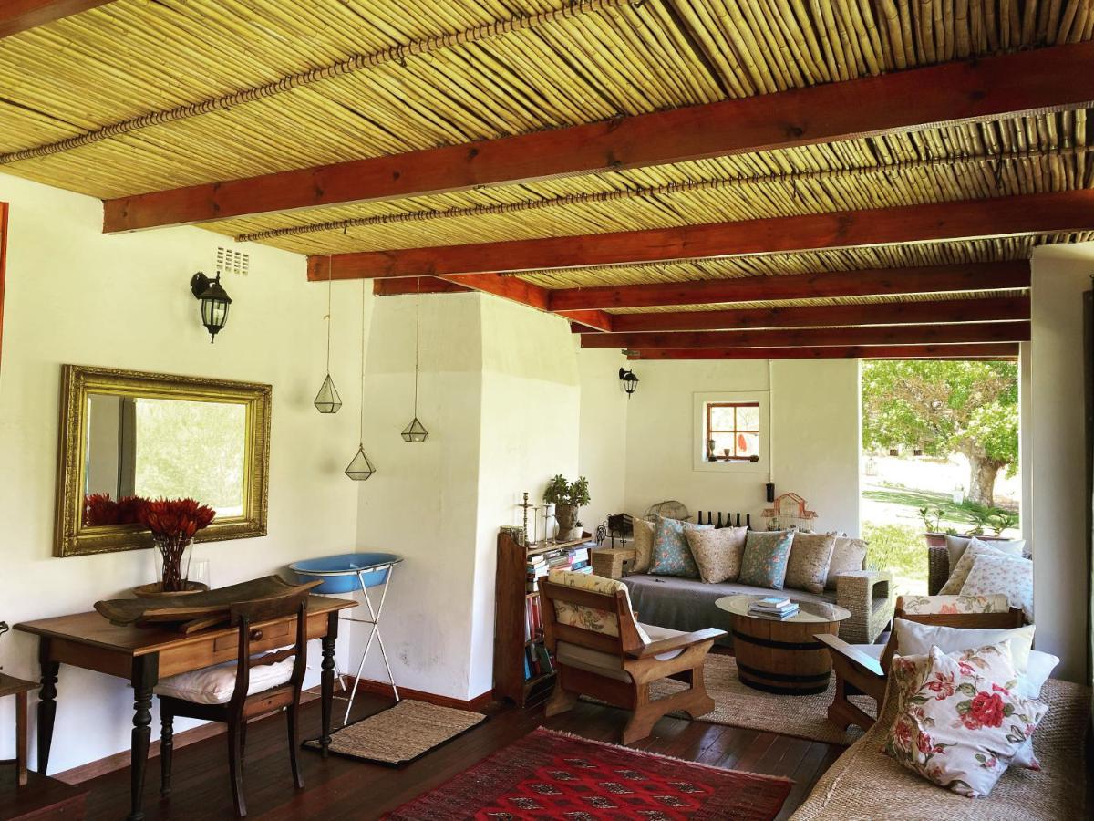 Alpaca Inn Montagu Extérieur photo